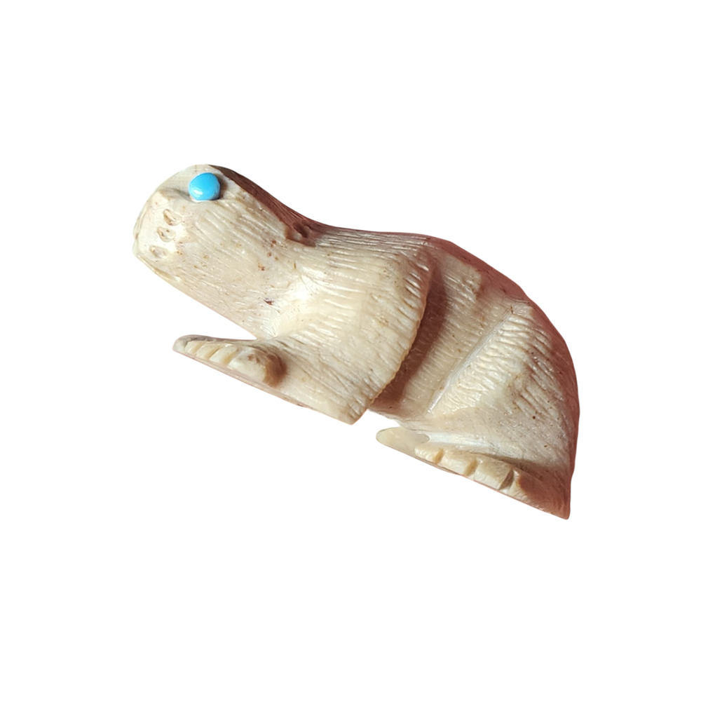 Native American Zuni Reptile Fetish Carving Turquoise Totem Southwest Art Signed - Picture 4 of 10